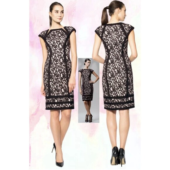 Tadashi Shoji Embroidered Lace Sheer Inset Pintuck Black Primrose Dress Size 4 - Picture 1 of 11